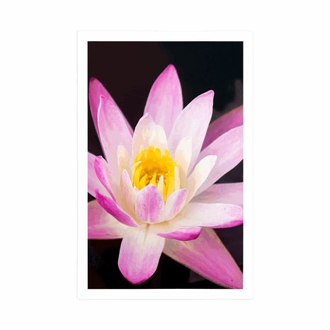 POSTER BEAUTIFUL WATER LILY - FLOWERS - POSTERS
