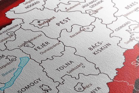 QUADRO IN SUGHERO – MAPPA DELL'UNGHERIA CON SFONDO TIPICO - QUADRI SU SUGHERO - STAMPE E QUADRI