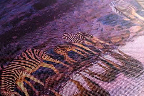 WANDBILD ZEBRAS AUF SAFARI - BILDER TIERE - BILDER