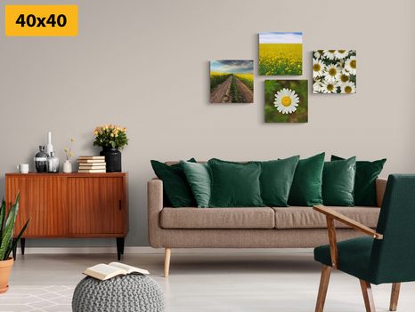 SET OBRAZŮ LOUKA PLNÁ KVĚTIN - SESTAVY OBRAZŮ - OBRAZY