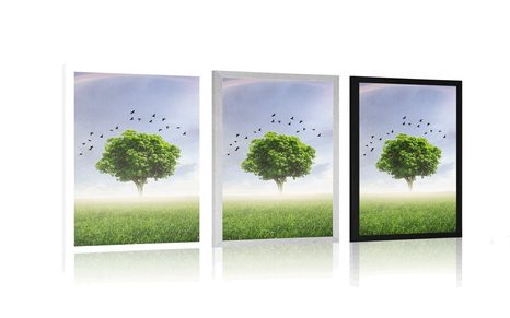 AFFICHE – ARBRE SOLITAIRE DANS LA PRAIRIE - NATURE - AFFICHES