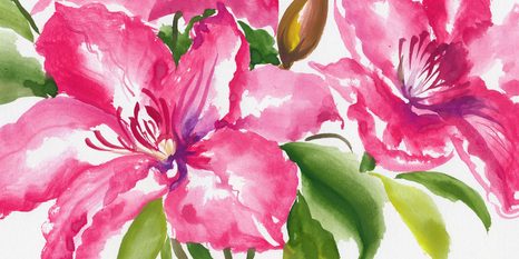 SLIKA ČUDOVITI CVETOVI - SLIKE ROŽ - SLIKE