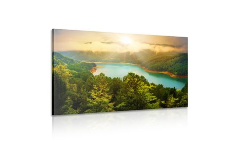 КАРТИНА НА ПЛАТНО – РЕКА В ЗЕЛЕНА ГОРА - КАРТИНИ НА ПРИРОДАТА И ПЕЙЗАЖИ - КАРТИНИ