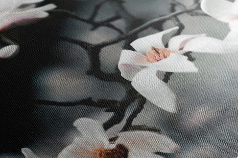 ΕΙΚΌΝΑ ΜΙΑΣ ΞΎΠΝΙΑΣ ΜΑΝΌΛΙΑΣ - ΠΊΝΑΚΕΣ ΑΠΌ ΛΟΥΛΟΎΔΙΑ - ΠΊΝΑΚΕΣ