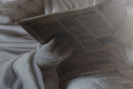 OBRAZ ĽADOVÝ MEDVEĎ S NOVINAMI NA ZÁCHODE - OBRAZY MEDVEDE - OBRAZY