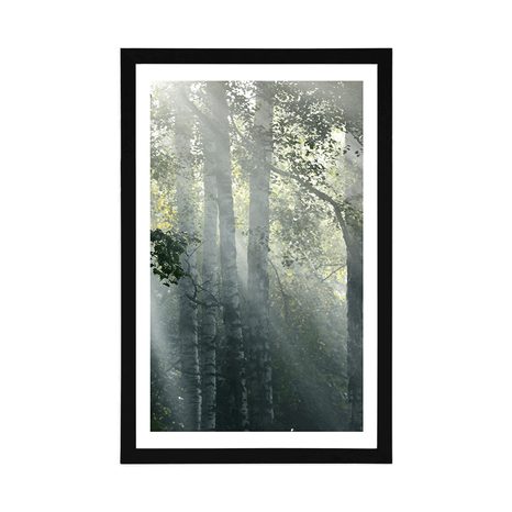 PLAKAT S PASPARTUOM SUNČEVE ZRAKE U MAGLOVITOJ ŠUMI - PRIRODA - PLAKATI