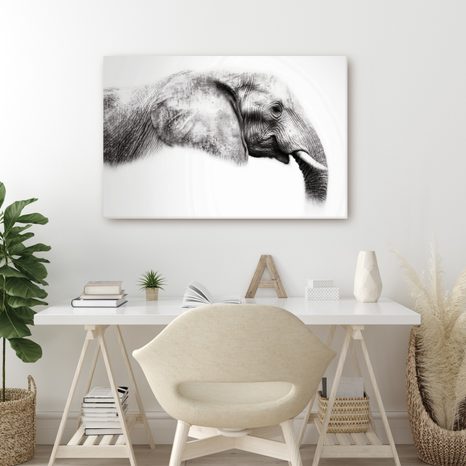 OBRAZ ELEGANTNÍ SLONÍ PROFIL - OBRAZY SLONI - OBRAZY