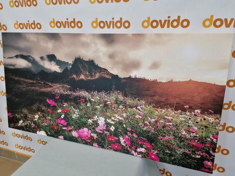 KÉP VIRÁGZÓ RÉT - TERMÉSZET- ÉS TÁJKÉPEK - KÉPEK