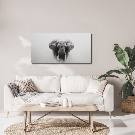 OBRAZ ČERNOBÍLÝ SLONÍ PORTRÉT - OBRAZY SLONI - OBRAZY