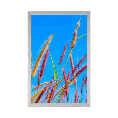 PLAKÁT DIVOKÁ TRÁVA POD MODROU OBLOHOU - PŘÍRODA - PLAKÁTY