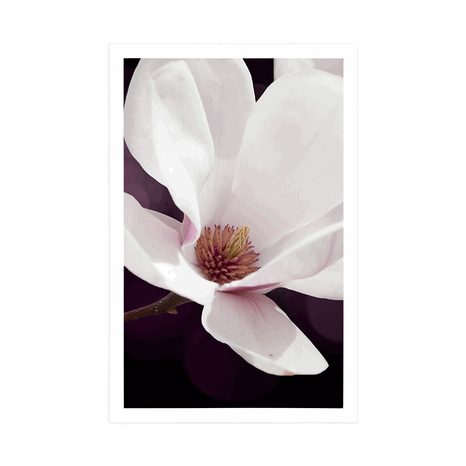 POSZTER MAGNÓLIA ABSZTRAK HÁTTÉREN - VIRÁGMINTÁS - POSZTEREK