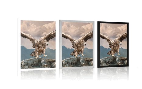 POSTER ADLER MIT AUSGEBREITETEN FLÜGELN ÜBER BERGEN - TIERE - POSTER