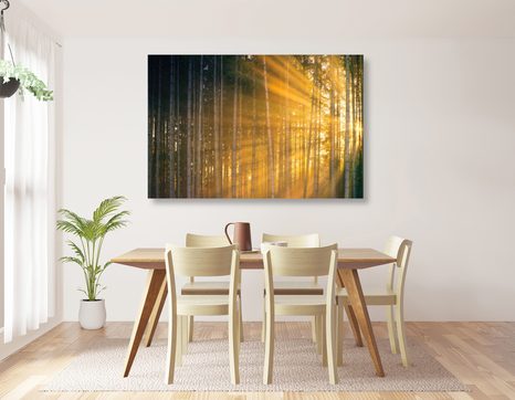 TABLOU SOARELE ÎN SPATELE COPACILOR - TABLOU NATURĂ ȘI PEISAJE NATURALE - TABLOURI