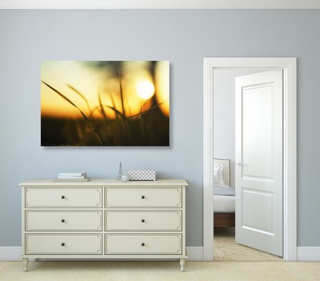 OBRAZ ZACHODZĄCE SŁOŃCE W TRAWIE - OBRAZY PRZYRODY I KRAJOBRAZY - OBRAZY