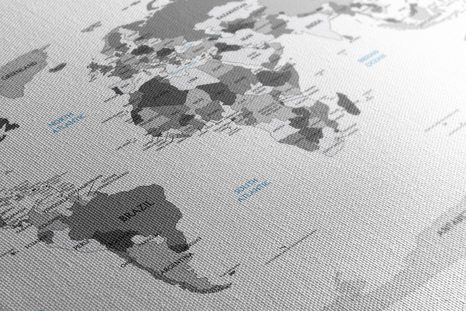 ΕΙΚΌΝΑ ΣΕ ΑΣΠΡΌΜΑΥΡΟ ΧΆΡΤΗ ΑΠΌ ΦΕΛΛΌ ΜΕ ΜΠΛΕ ΑΝΤΊΘΕΣΗ - ΠΊΝΑΚΕΣ ΣΤΟ ΦΕΛΛΌ - ΠΊΝΑΚΕΣ