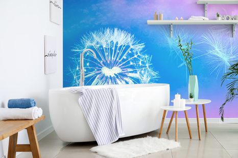 TAPETA PAMPELIŠKA NA MODRÉM POZADÍ - TAPETY KVĚTINY - TAPETY