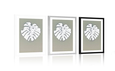 POSTER – FOGLIA BIANCA DI MONSTERA - MOTIVI DALLA NOSTRA OFFICINA - POSTER