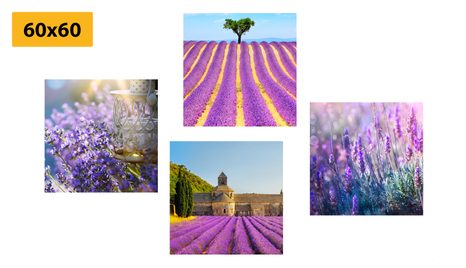 BILDER-SET LAVENDEL-REICHTUM - BILDERSETS - BILDER