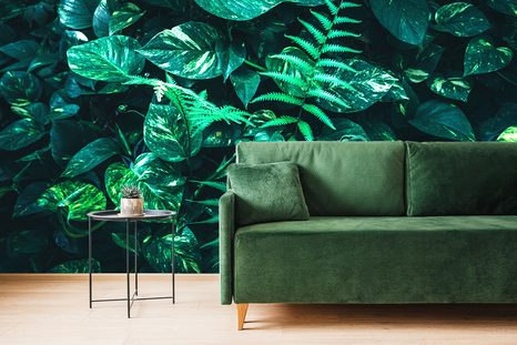 FOTOTAPETA SVĚŽÍ TROPICKÉ LISTY - TAPETY PŘÍRODA - TAPETY
