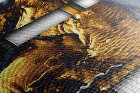 OBRAZ LUXUSNÍ ABSTRAKCE - ABSTRAKTNÍ OBRAZY - OBRAZY