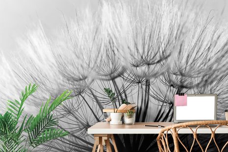 SAMOLEPÍCÍ FOTOTAPETA ROZKVETLÁ PAMPELIŠKA - SAMOLEPÍCÍ TAPETY - TAPETY