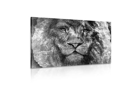SLIKA LEVJA GLAVA V ČRNOBELI IZVEDBI - ČRNOBELE SLIKE - SLIKE