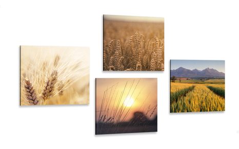 CANVAS PRINT SET MAGIC OF NATURE - SET OF PICTURES - PICTURES