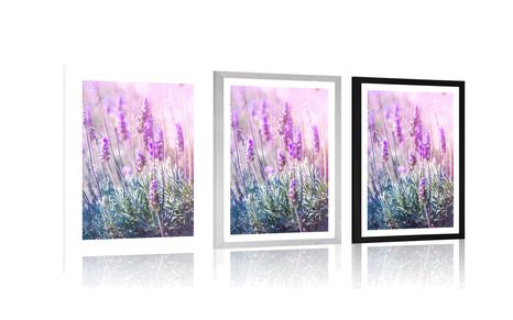 PLAKAT S PASPARTUOM ČAROBNO CVIJEĆE LAVANDE - CVIJEĆE - PLAKATI
