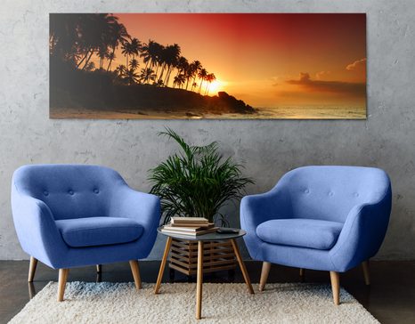 ΕΙΚΌΝΑ ΗΛΙΟΒΑΣΊΛΕΜΑ ΣΤΗ ΣΡΙ ΛΆΝΚΑ - ΠΊΝΑΚΕΣ ΦΎΣΗΣ ΚΑΙ ΤΟΠΊΟΥ - ΠΊΝΑΚΕΣ