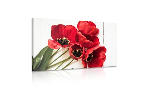 SLIKA CVETOČI RDEČI TULIPANI - SLIKE ROŽ - SLIKE