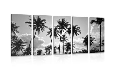 5-PIECE CANVAS PRINT OF COCONUT TREES ON A BEACH IN BLACK AND WHITE - BLACK AND WHITE PICTURES - PICTURES