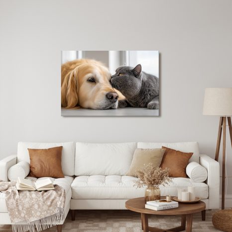 WANDBILD FREUNDSCHAFT ZWISCHEN HUND UND KATZE - BILDER TIERE - BILDER