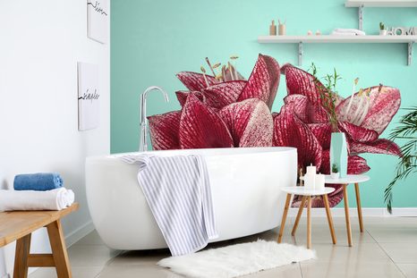 SAMOLEPÍCÍ FOTATAPETA EXOTICKÝ AMARYLIS NA TYRKYSOVÉM POZADÍ - SAMOLEPÍCÍ TAPETY - TAPETY