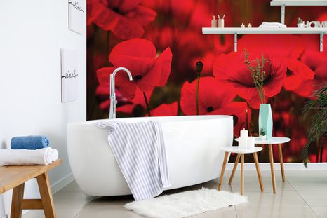 FOTOTAPETA POLE DIVOKÝCH MÁKŮ - TAPETY KVĚTINY - TAPETY