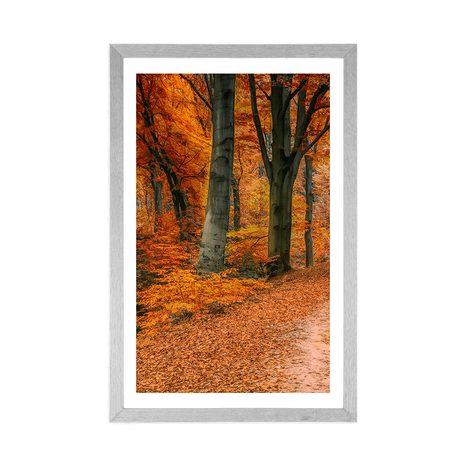 POSZTER PASZPORTUVAL ERDŐ ŐSZI IDŐBEN - TERMÉSZETKÉPES - POSZTEREK