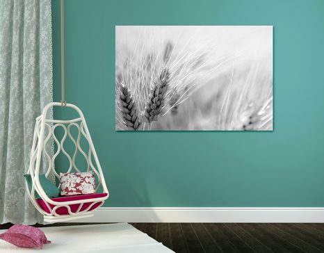 SLIKA PŠENIČNO POLJE V ČRNOBELI IZVEDBI - ČRNOBELE SLIKE - SLIKE