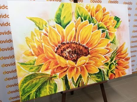 OBRAZ NÁDHERNÁ SLUNEČNICE - OBRAZY KVĚTŮ - OBRAZY