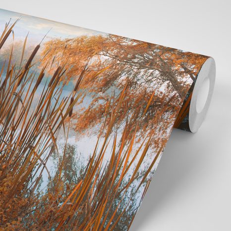 CARTA DA PARATI – LAGO NEL MEZZO DELLA NATURA AUTUNNALE - CARTA DA PARATI NATURA - CARTA DA PARATI