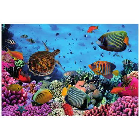 WALL MURAL UNDERWATER WORLD - WALLPAPERS ANIMALS - WALLPAPERS