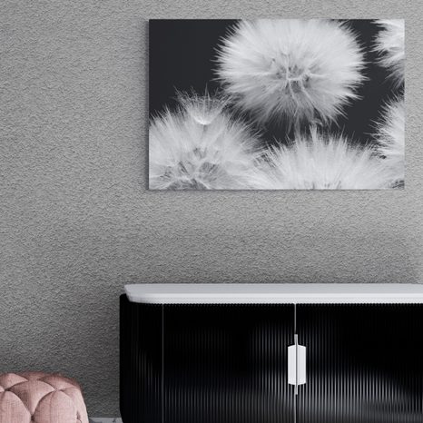 OBRAZ CZARNO-BIAŁY MNISZEK LEKARSKI - OBRAZY CZARNO-BIAŁE - OBRAZY