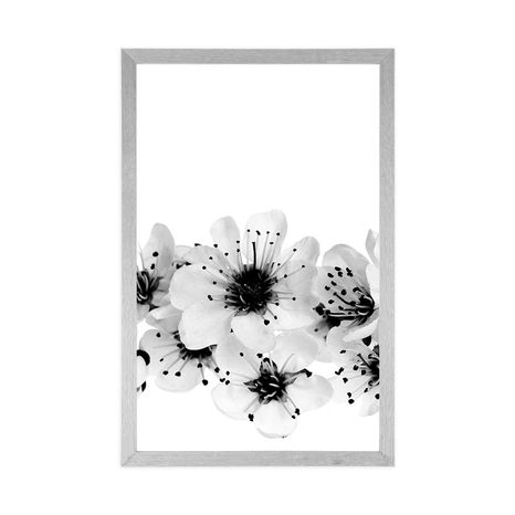POSTER CHERRY BLOSSOMS IN BLACK AND WHITE - BLACK AND WHITE - POSTERS