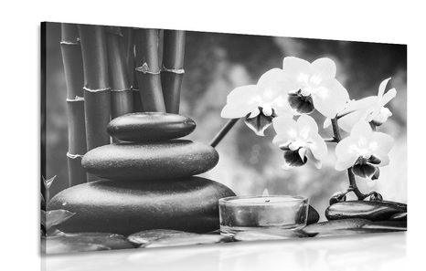 CANVAS PRINT SPA STILL LIFE IN BLACK AND WHITE - BLACK AND WHITE PICTURES - PICTURES