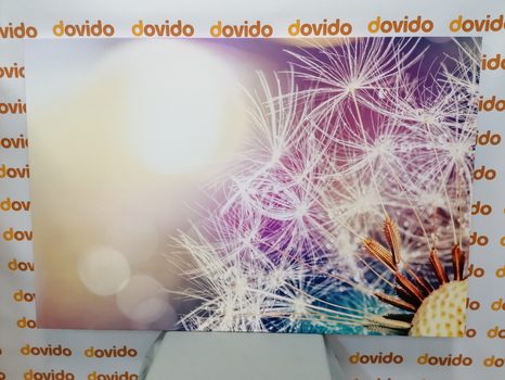 STAMPA SU TELA – VISTA DETTAGLIATA DEL DENTE DI LEONE - QUADRI DI FIORI - STAMPE E QUADRI