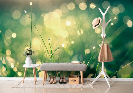 TAPETA RANNÍ ROSA - TAPETY PŘÍRODA - TAPETY