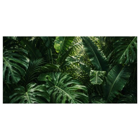 CANVASTAVLA EXOTISKA BLAD I REGNSKOGEN - TAVLOR MED TRÄD OCH BLAD - TAVLOR