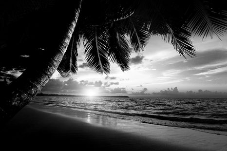 SELF ADHESIVE WALL MURAL BLACK AND WHITE CARIBBEAN BEACH - SELF-ADHESIVE WALLPAPERS - WALLPAPERS