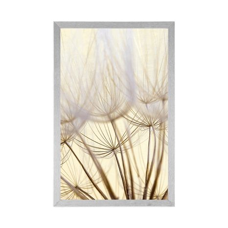 POSTER – SEMI DI DENTE DI LEONE - FIORI - POSTER