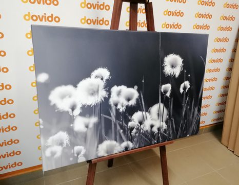 SLIKA BOMBAŽ V ČRNOBELI IZVEDBI - ČRNOBELE SLIKE - SLIKE