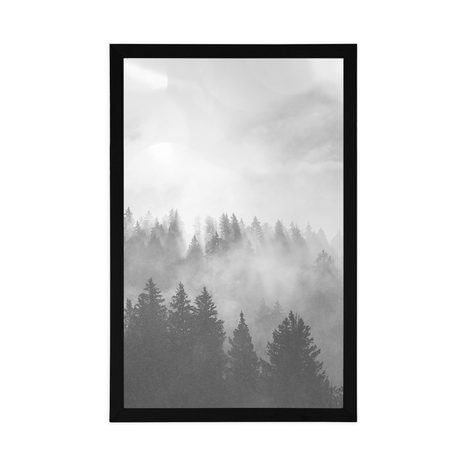 POSTER – NEBBIA SULLA FORESTA IN BIANCO E NERO - NERO E BIANCO - POSTER
