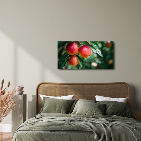 OBRAZ KAPKY ROSY NA JABLKÁCH - OBRAZY JÍDLA A NÁPOJE - OBRAZY